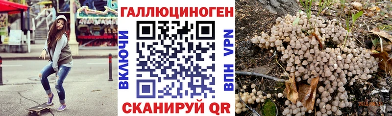 Псилоцибиновые грибы Psilocybe  Шебекино 